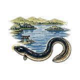浜名湖うなぎのイラスト
