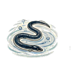 活鰻のイラスト