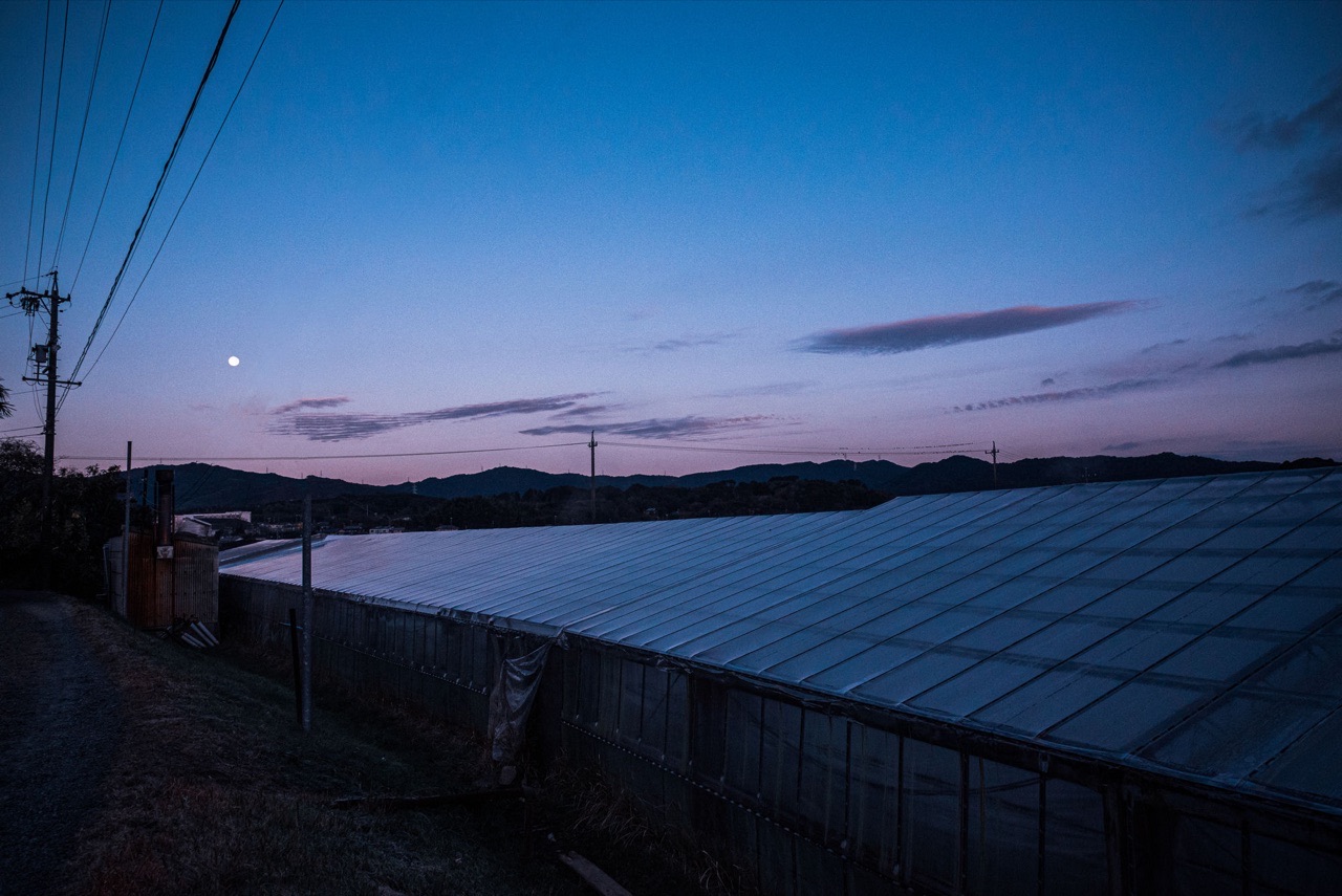 夕暮れの浜名湖の養鰻場