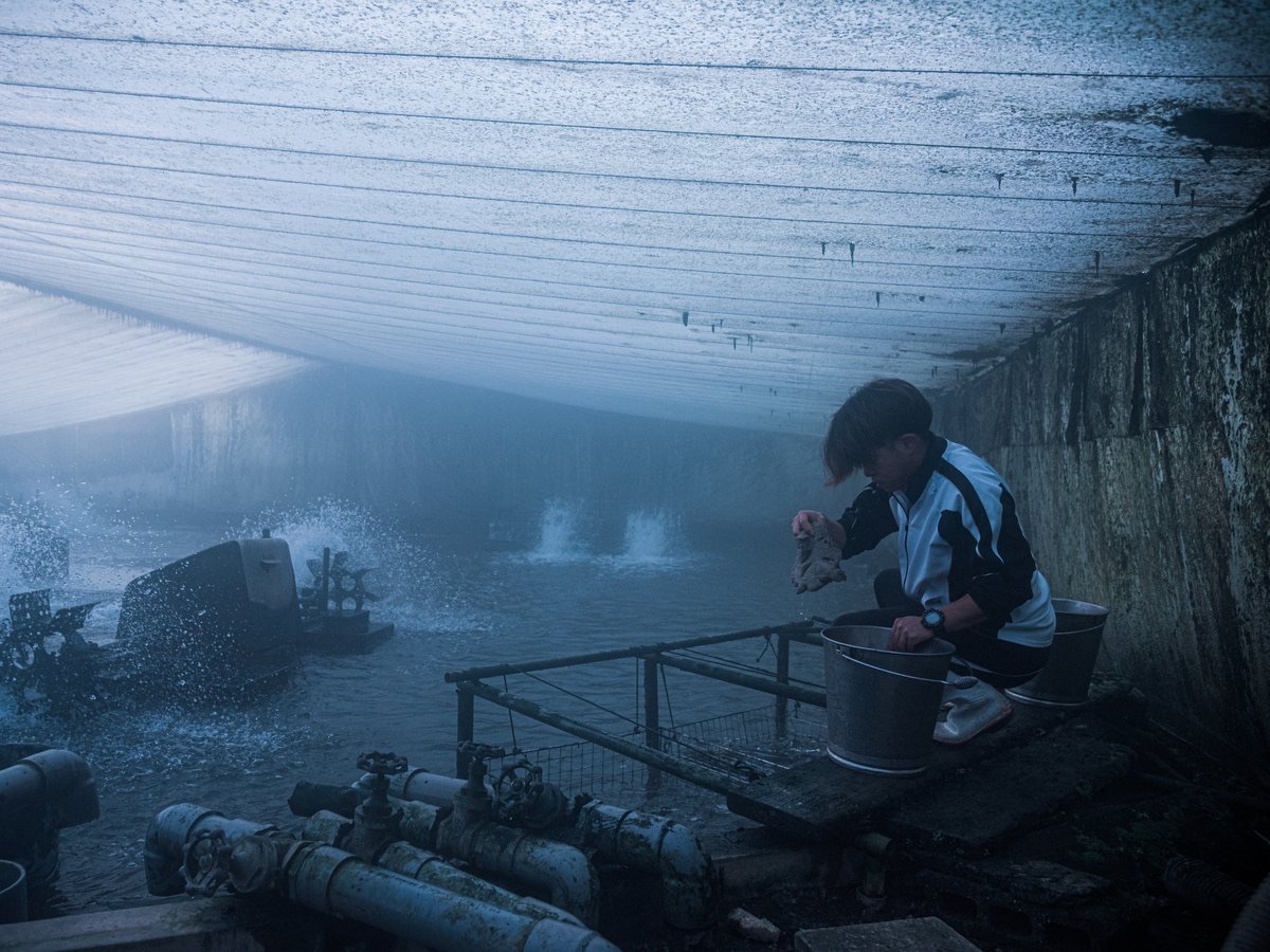 統括本部長の現場