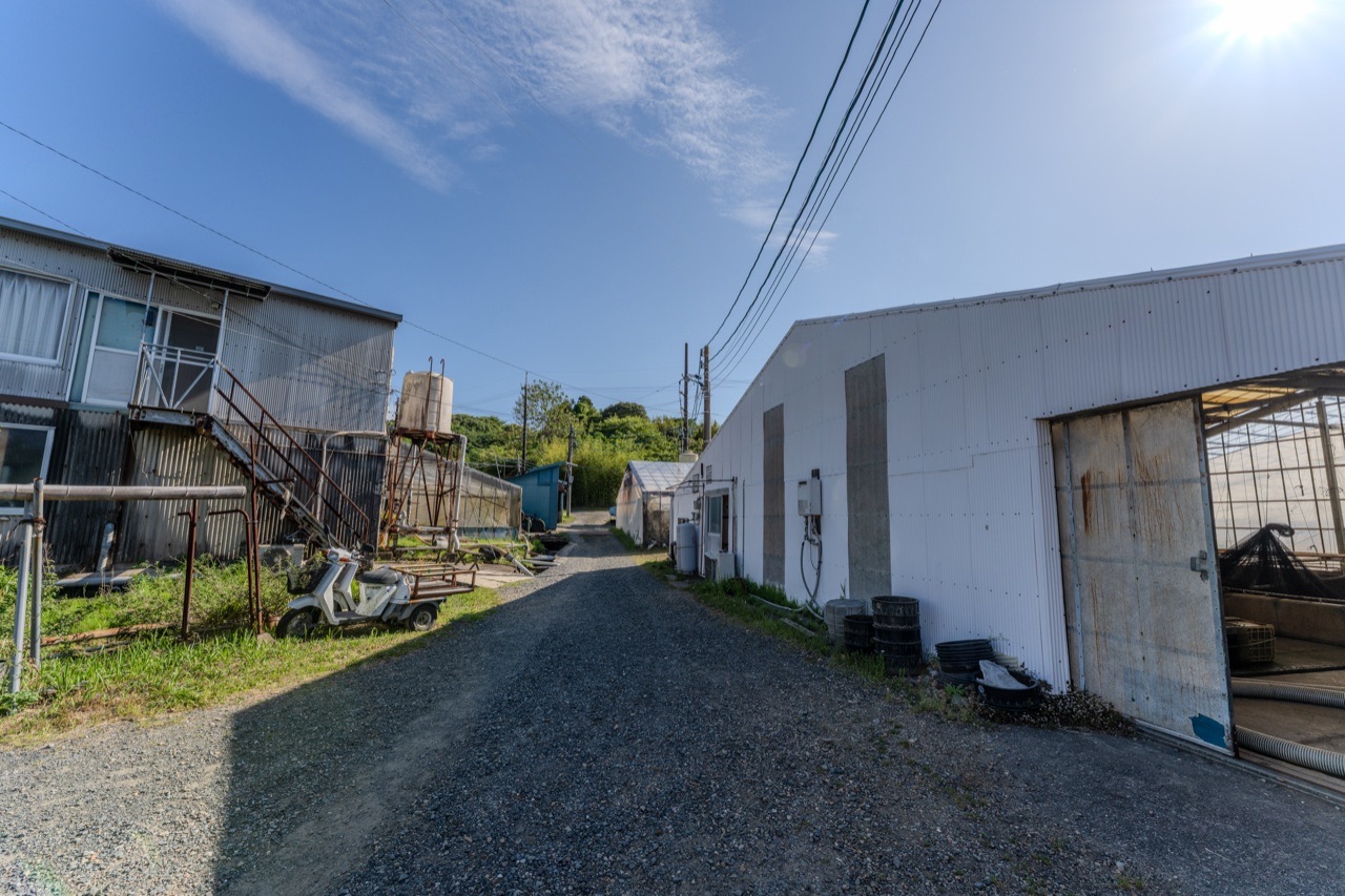 丸浜入七養鰻場